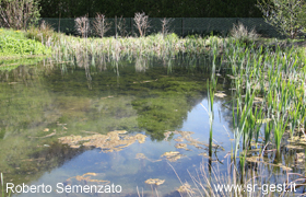 bild1