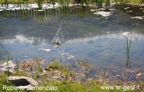 bild1