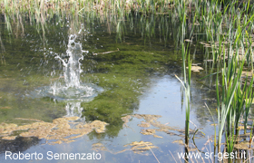 bild1