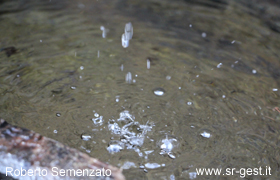 bild1
