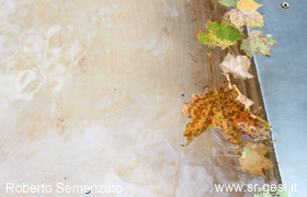 bild1