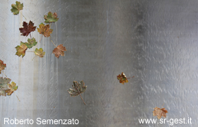 bild1