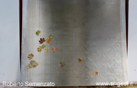 bild1