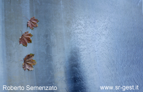 bild1